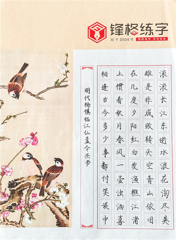 2023鋒格杯全國青少年硬筆書法大賽獲獎(jiǎng)作品—《明代楊慎臨江仙孟令杰書》